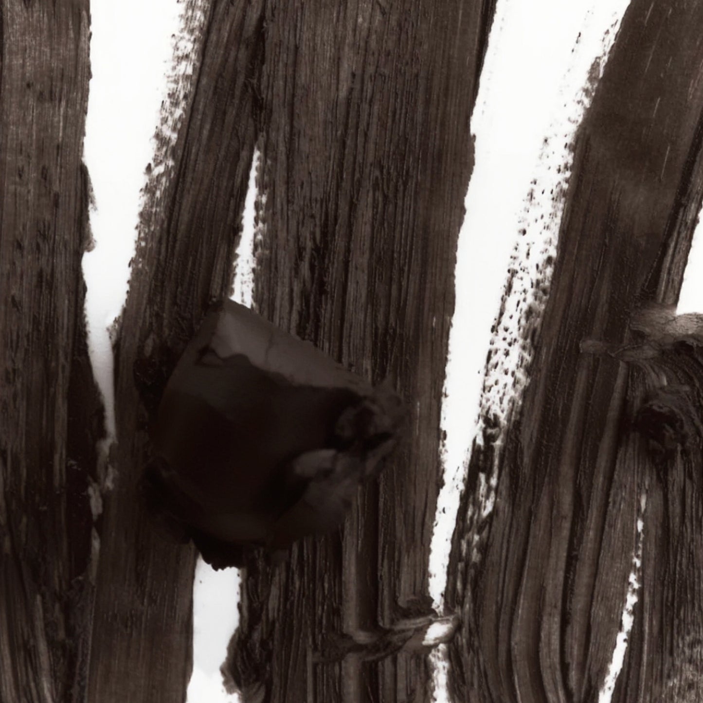 PEPTIDE LIP SHAPE MOVE